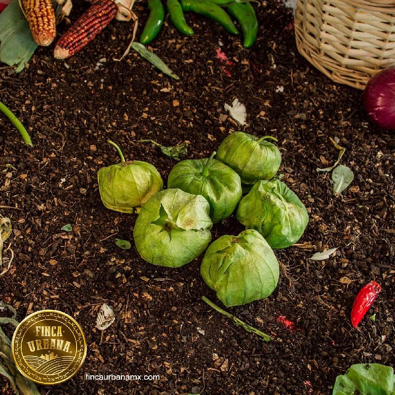 Tomate verde orgánico (250 g)