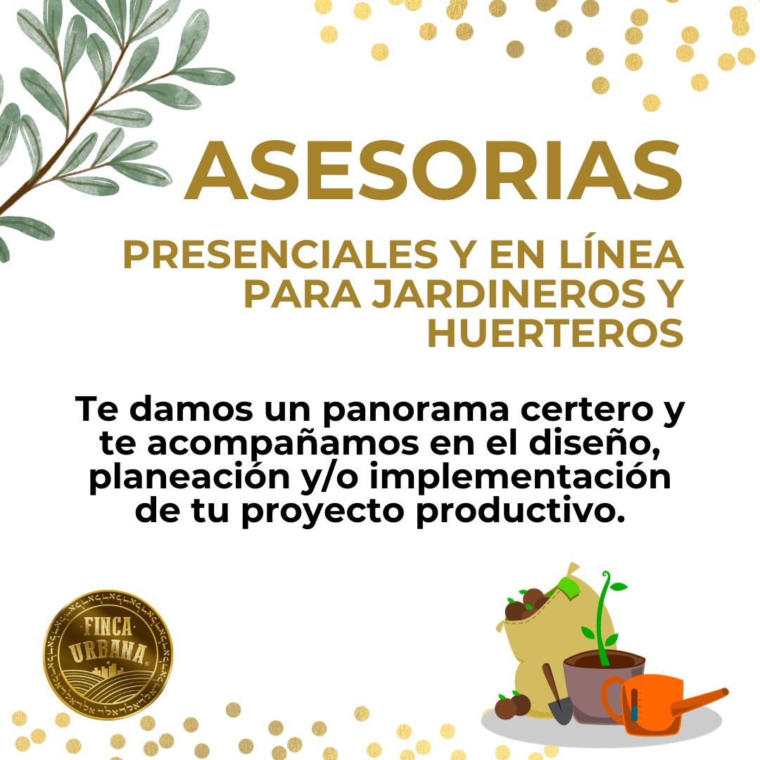 ASESORIAS ONLINE y PRESENCIALES PARA HUERTOS