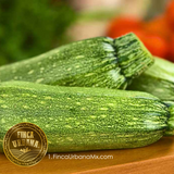 Calabaza larga verde orgánica (250 g)