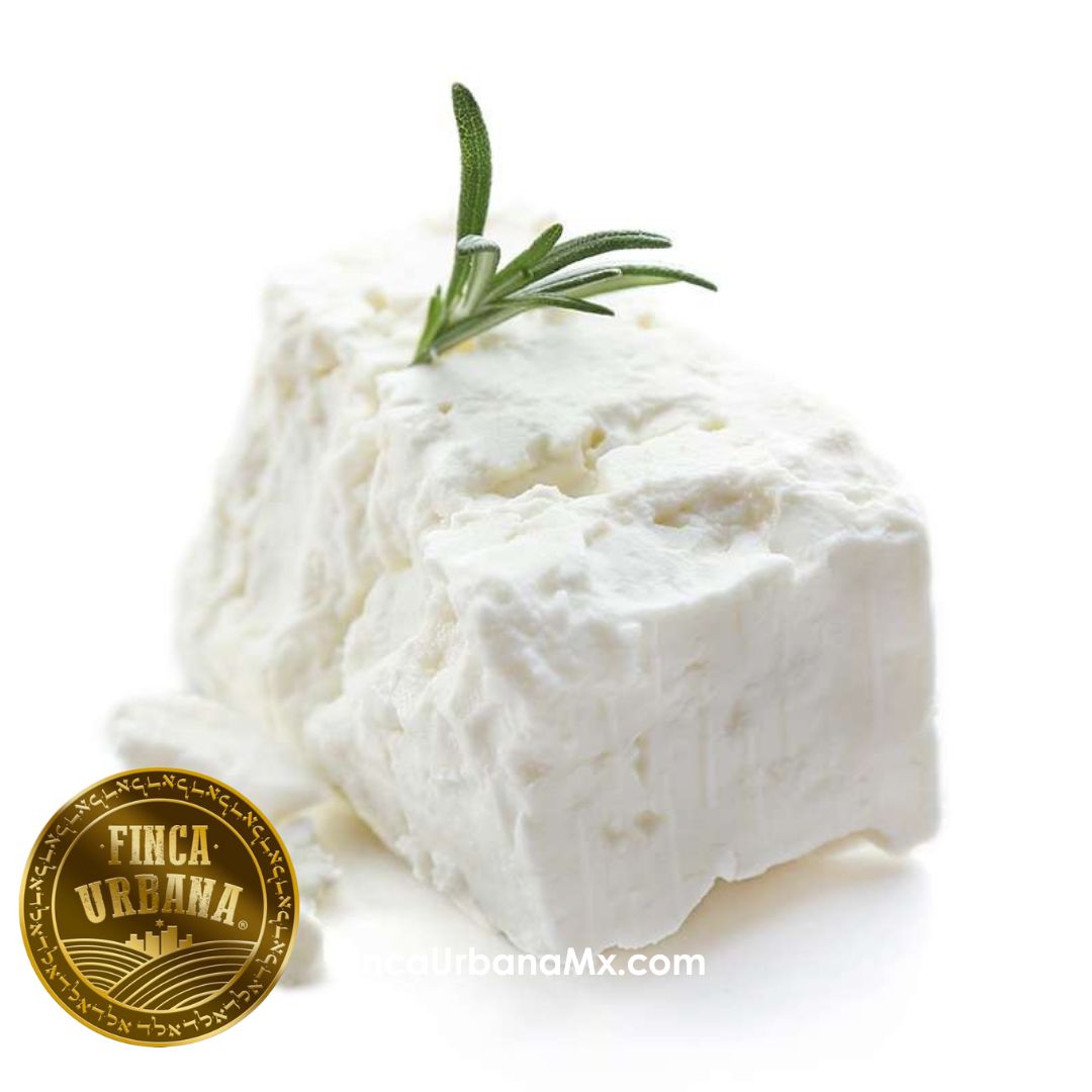 Queso feta de cabra orgánico (500g)