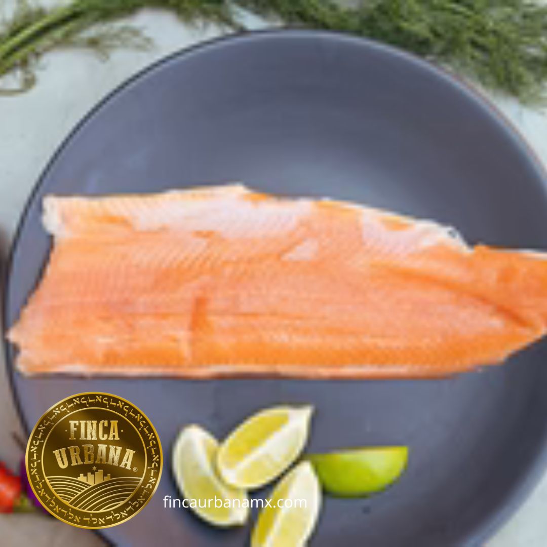 Filete de trucha salmonada con piel (170 g)