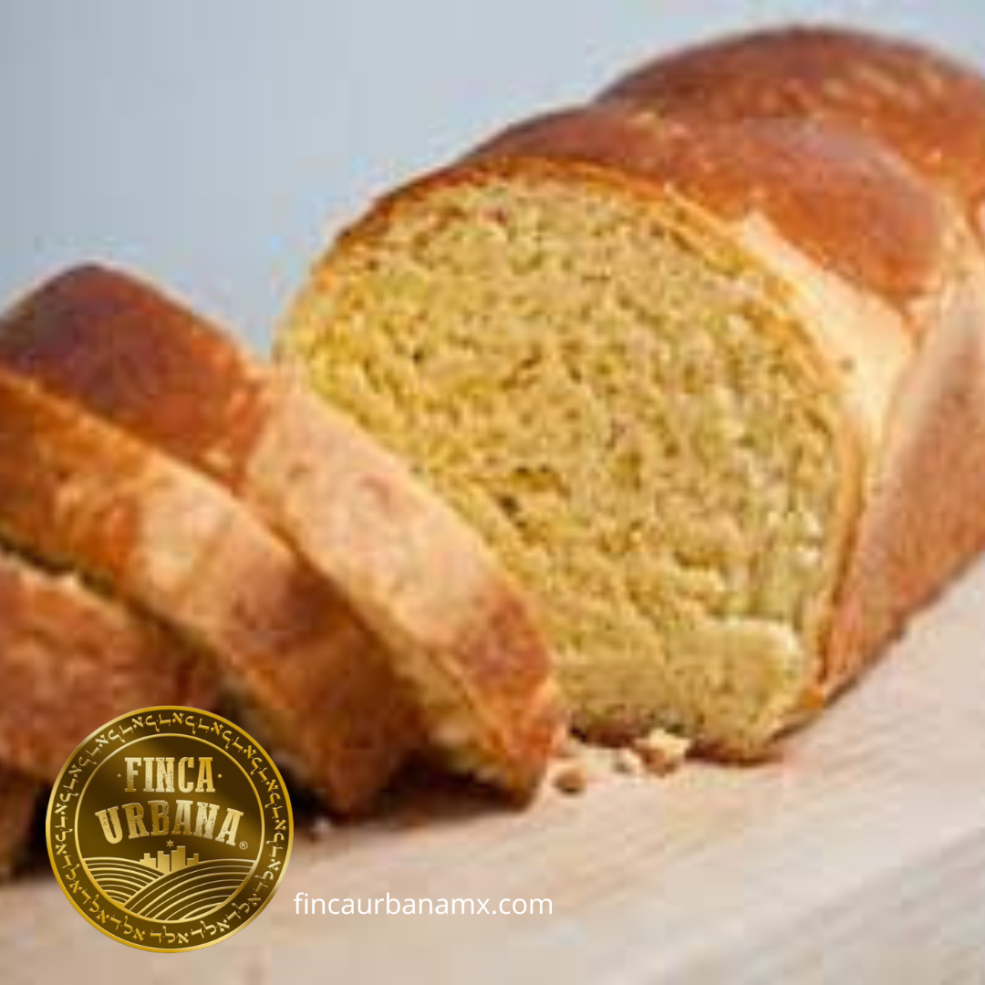 Pan mini brioche masa madre orgánico (12 pzas)