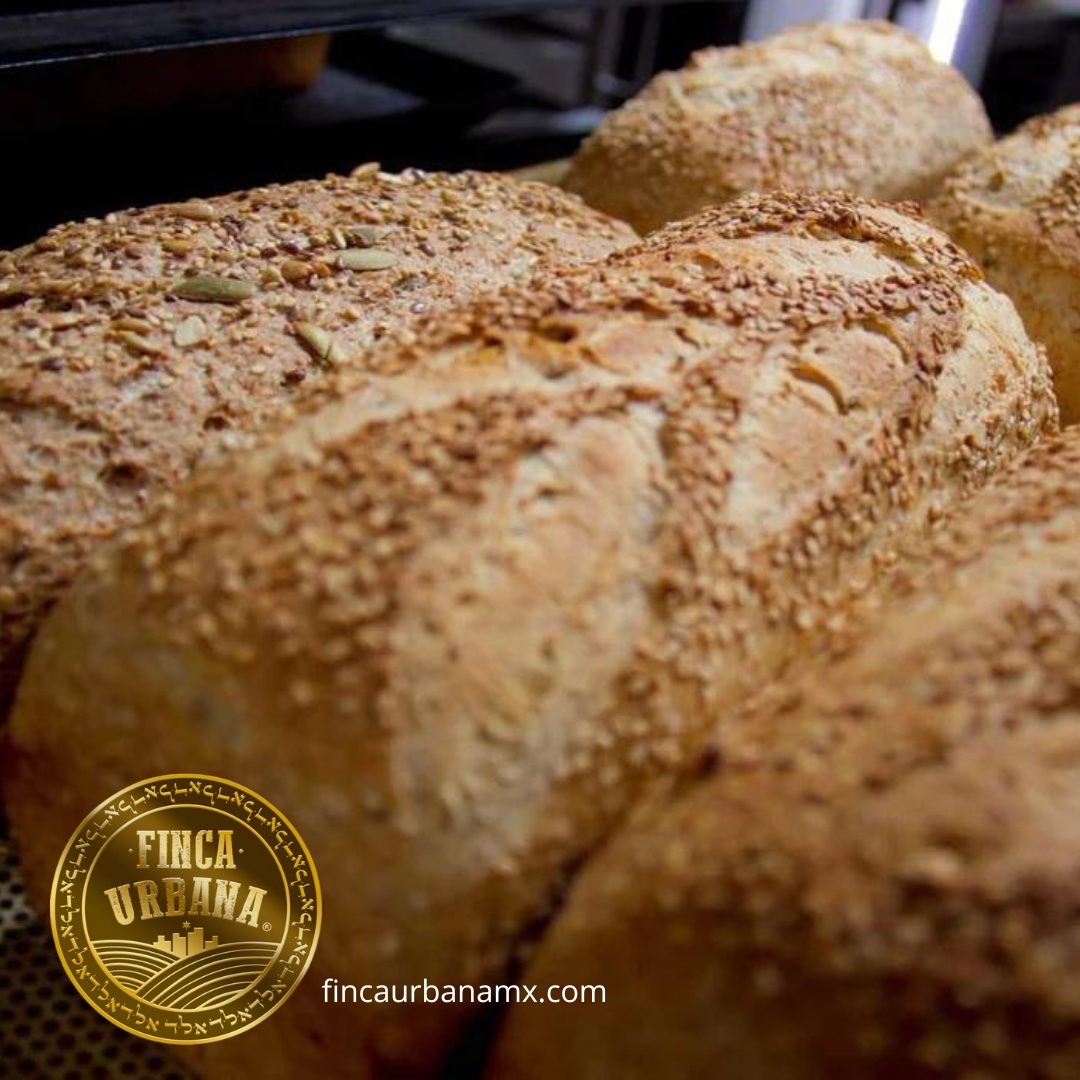 Pan de caja natural masa madre orgánico (1 pza)