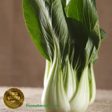 Bock Choi orgánico (1 pza)