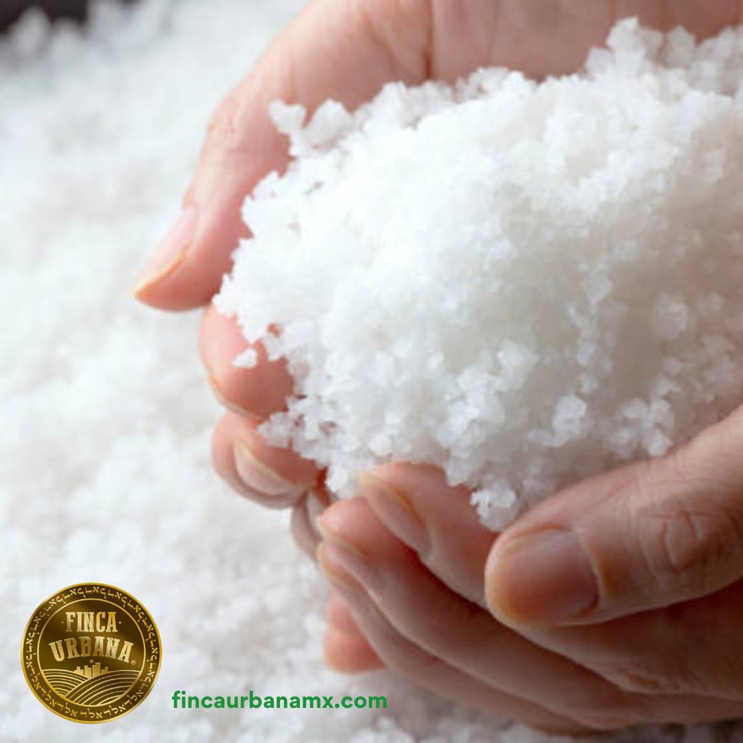 Sal gruesa de mar (1 Kg)