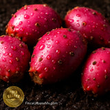 Tuna Roja Orgánica, 250g