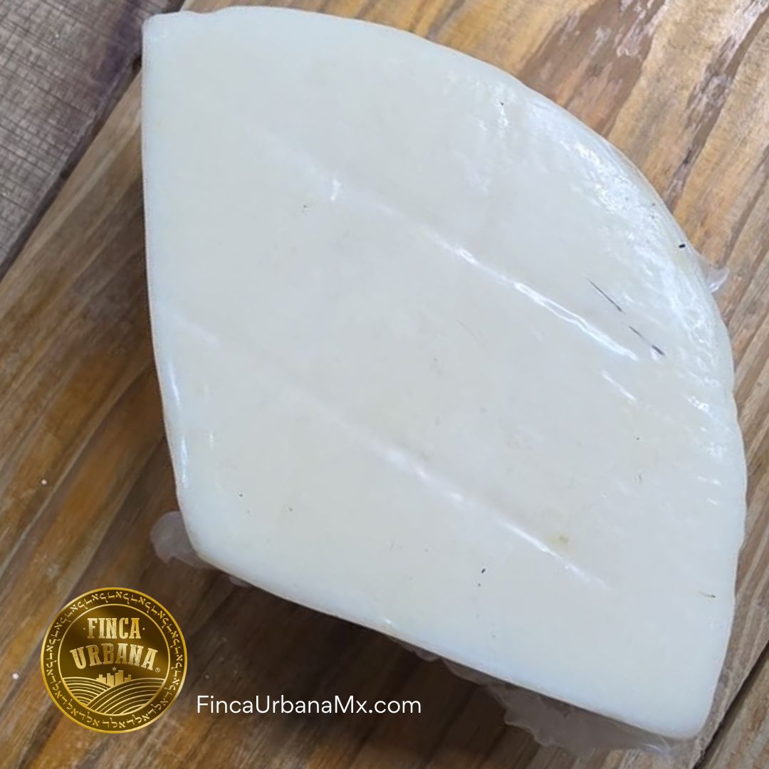 Queso Manchego de Cabra A2A2 Orgánico, .250 Quesorini