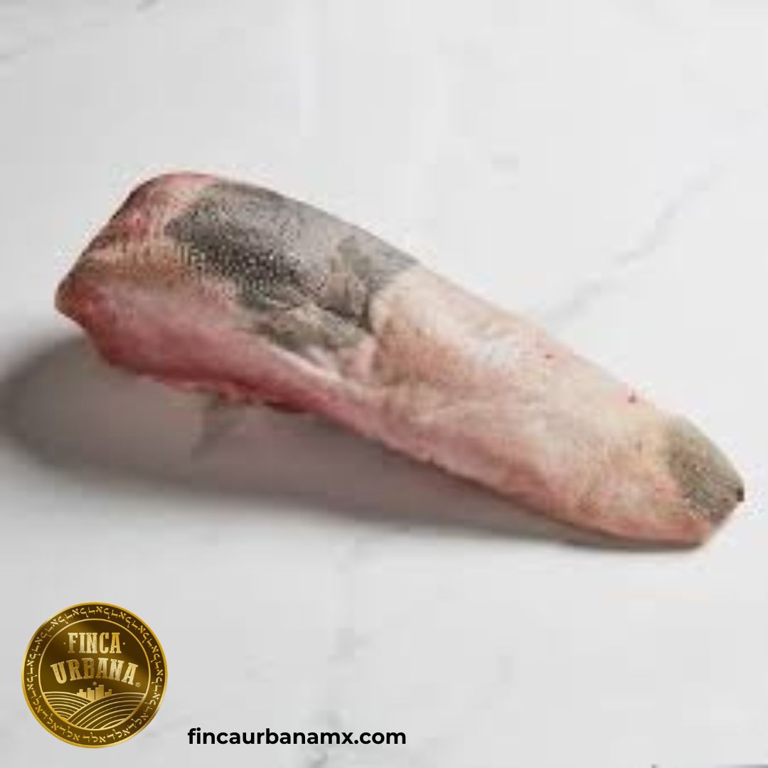 Carne de búfalo Lengua orgánica (500 g)