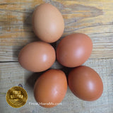 Huevo Rojo de Gallina Orgánico, 1pieza