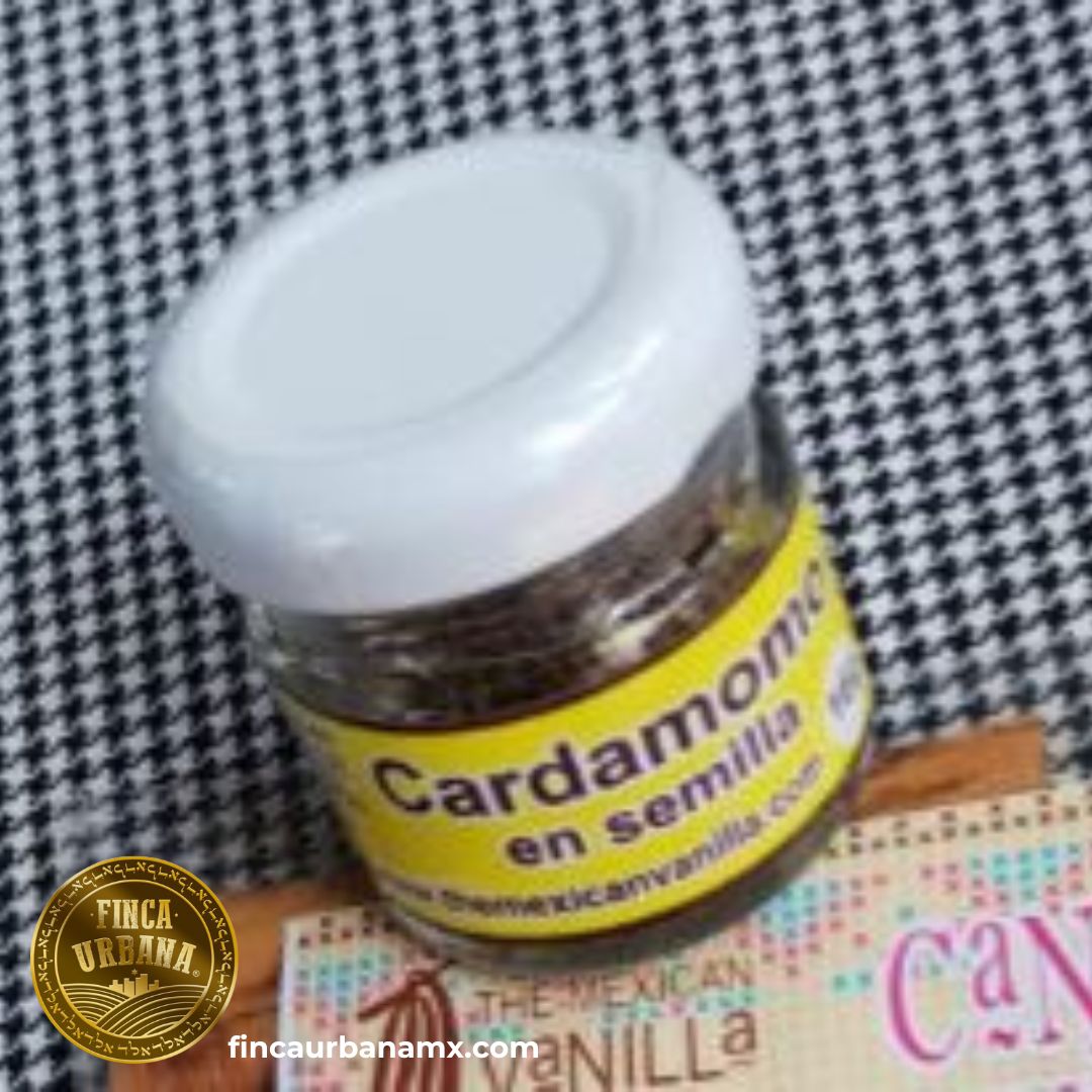 Cardamomo en semilla orgánica (16 g)