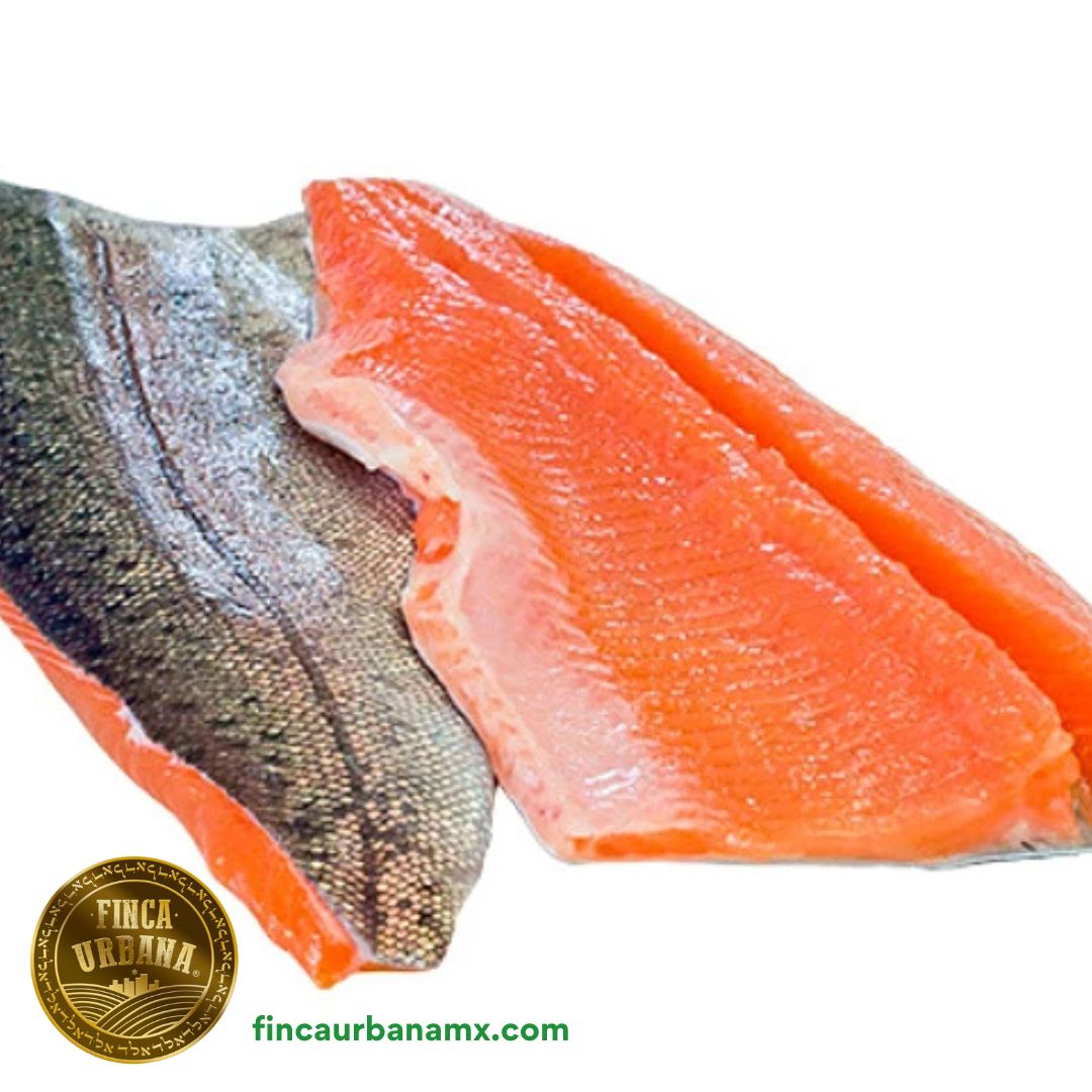 Filete de trucha arcoiris (2 filetes)