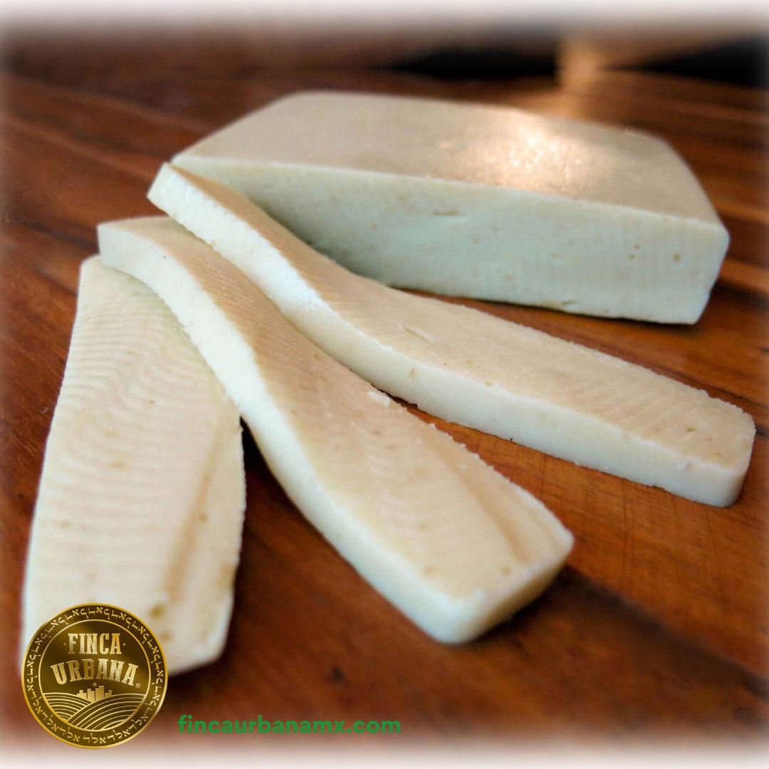 Queso Asadero de búfala A2A2 (450 g)