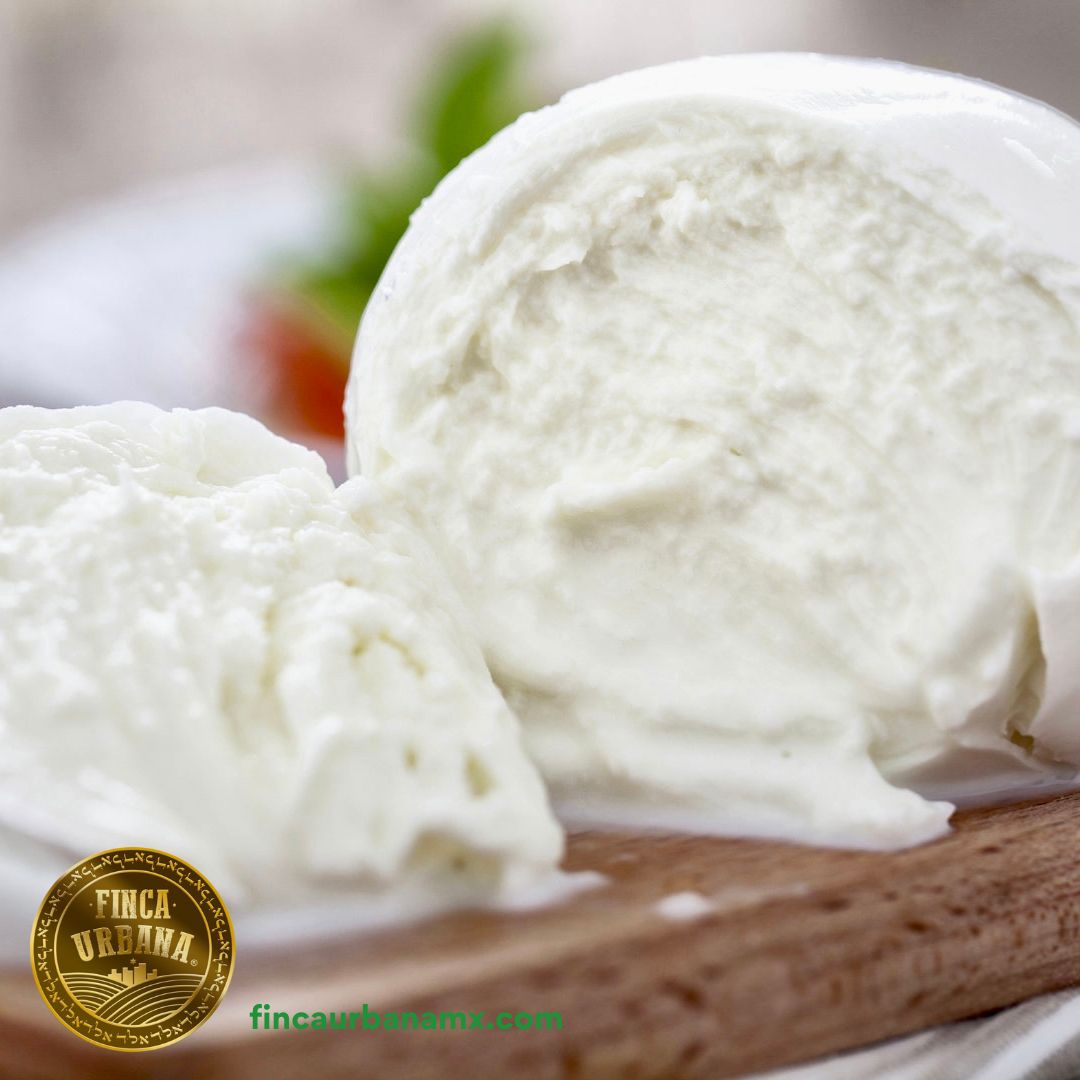 Queso Mozzarella Bocconcini de búfala A2A2 (250 g)