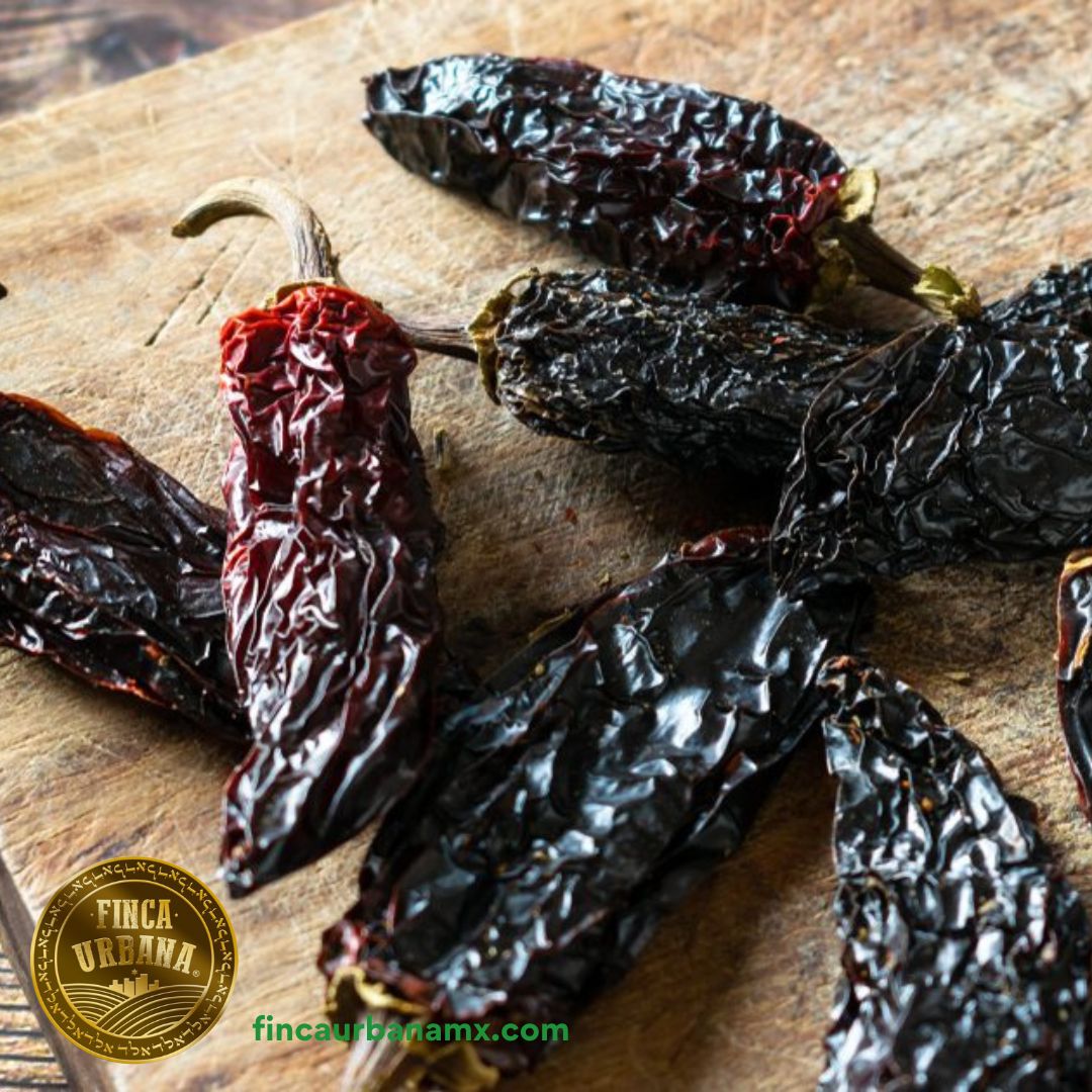Chile Chipotle orgánico (100g)