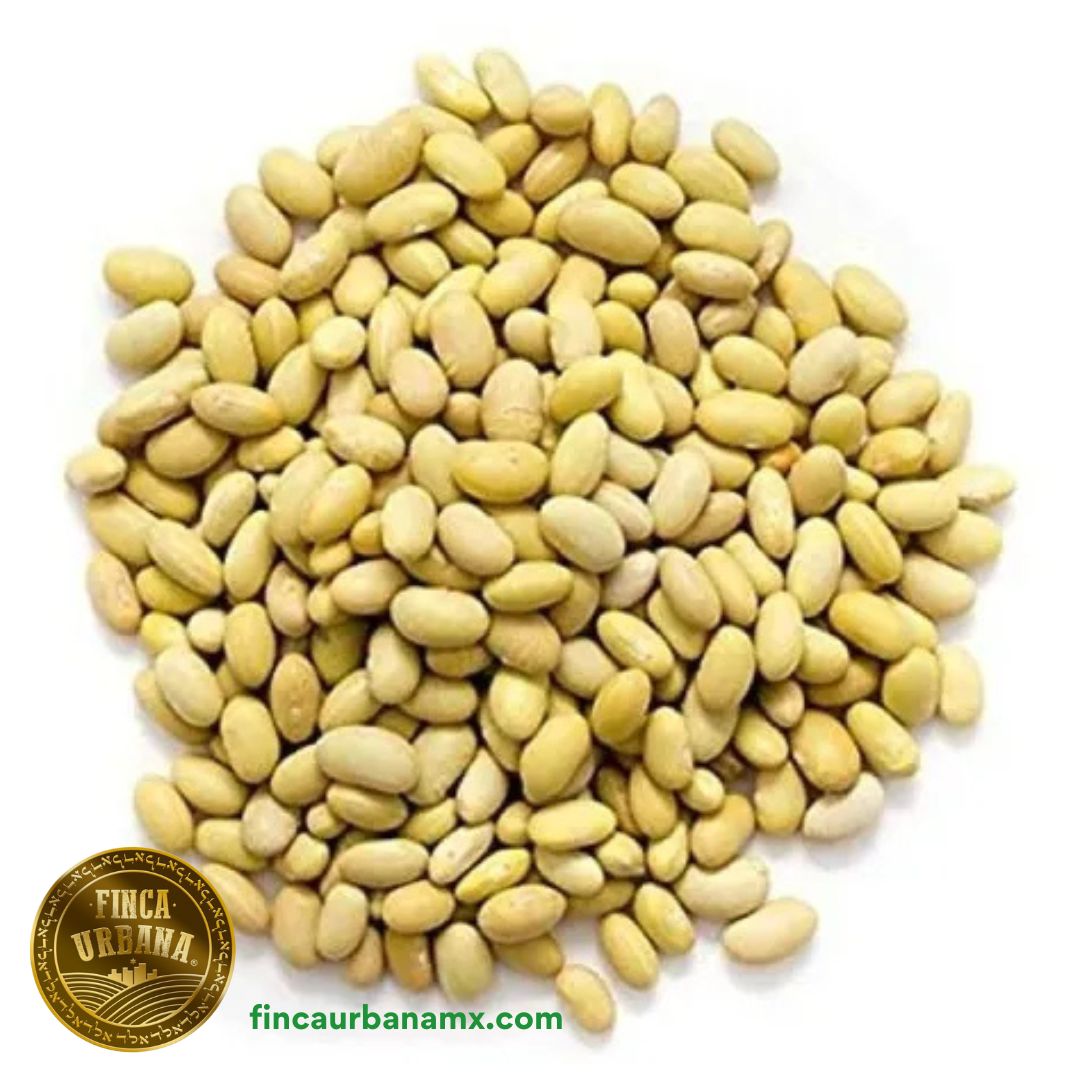 Frijol peruano (amarillo) ( 200g)