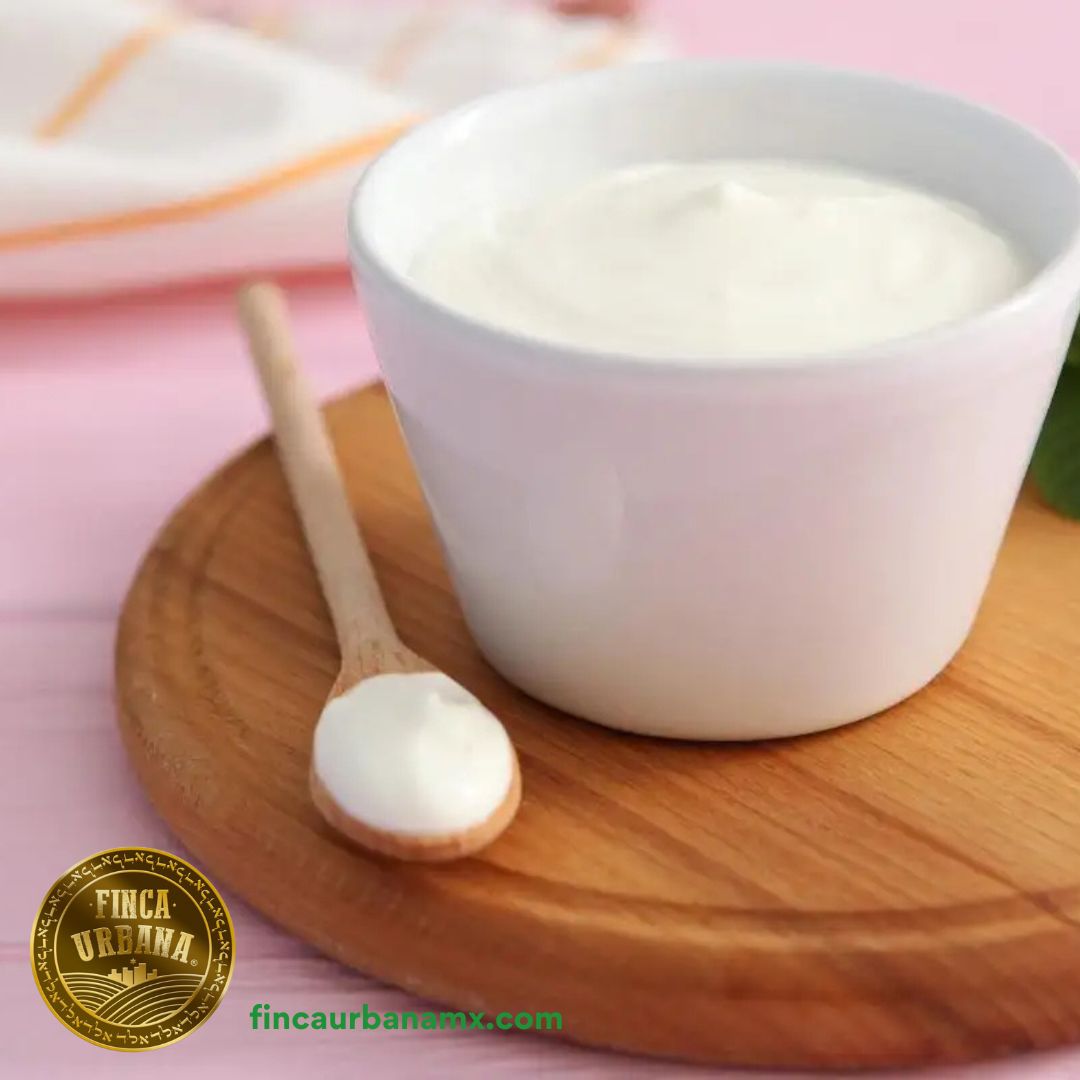 Yogurt griego de búfala A2A2 orgánico Indomitus (500ml)