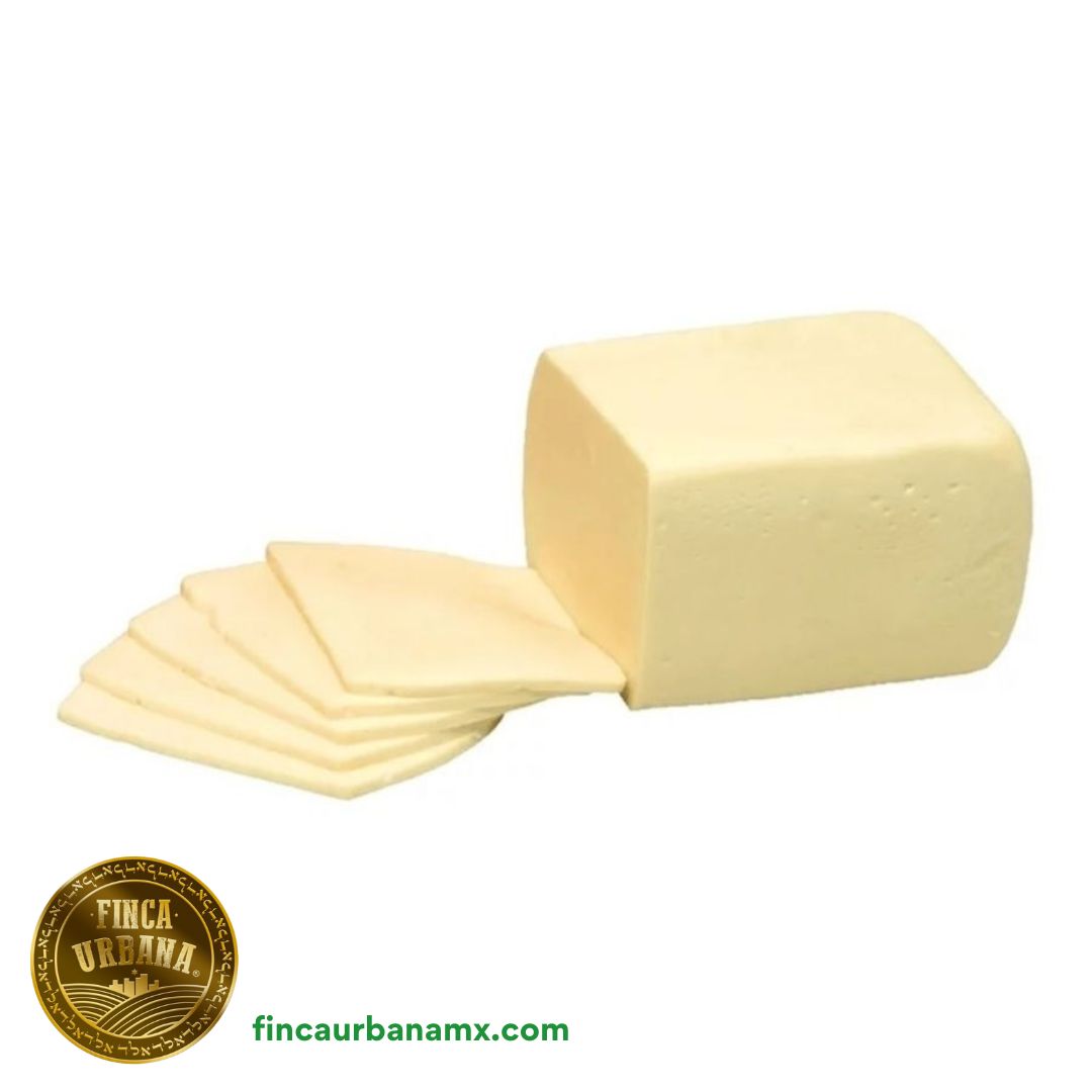 Queso Mozzarella de búfala en barra (1 kg)