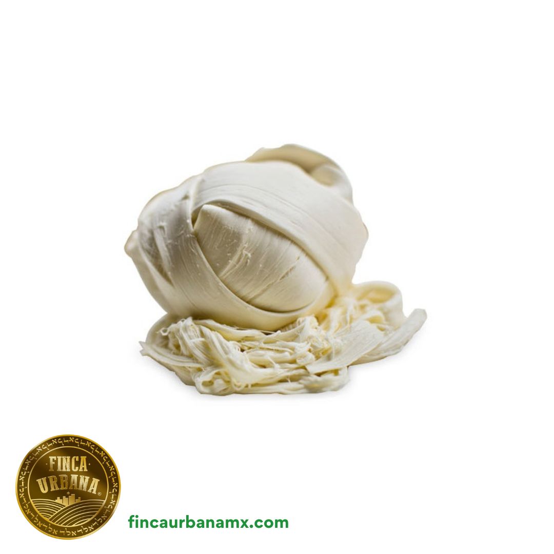 Queso Oaxaca de búfala A2A2 (500 g)