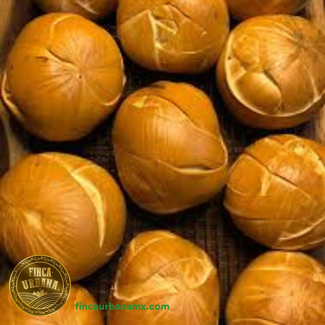 Queso Oaxaca ahumado de búfala A2A2 (450 g)