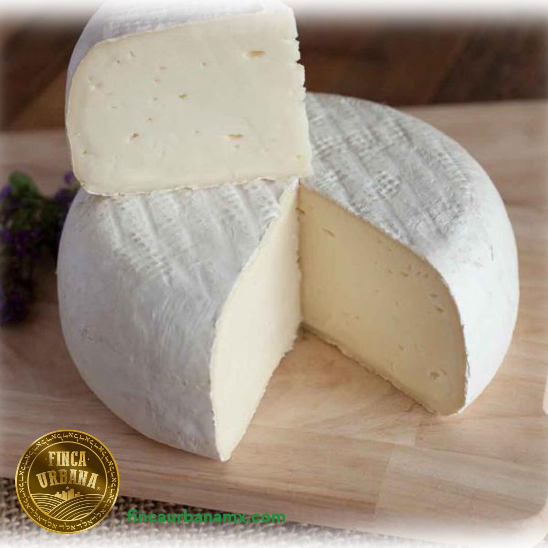 Queso Fresco de búfala A2A2 (500 g)