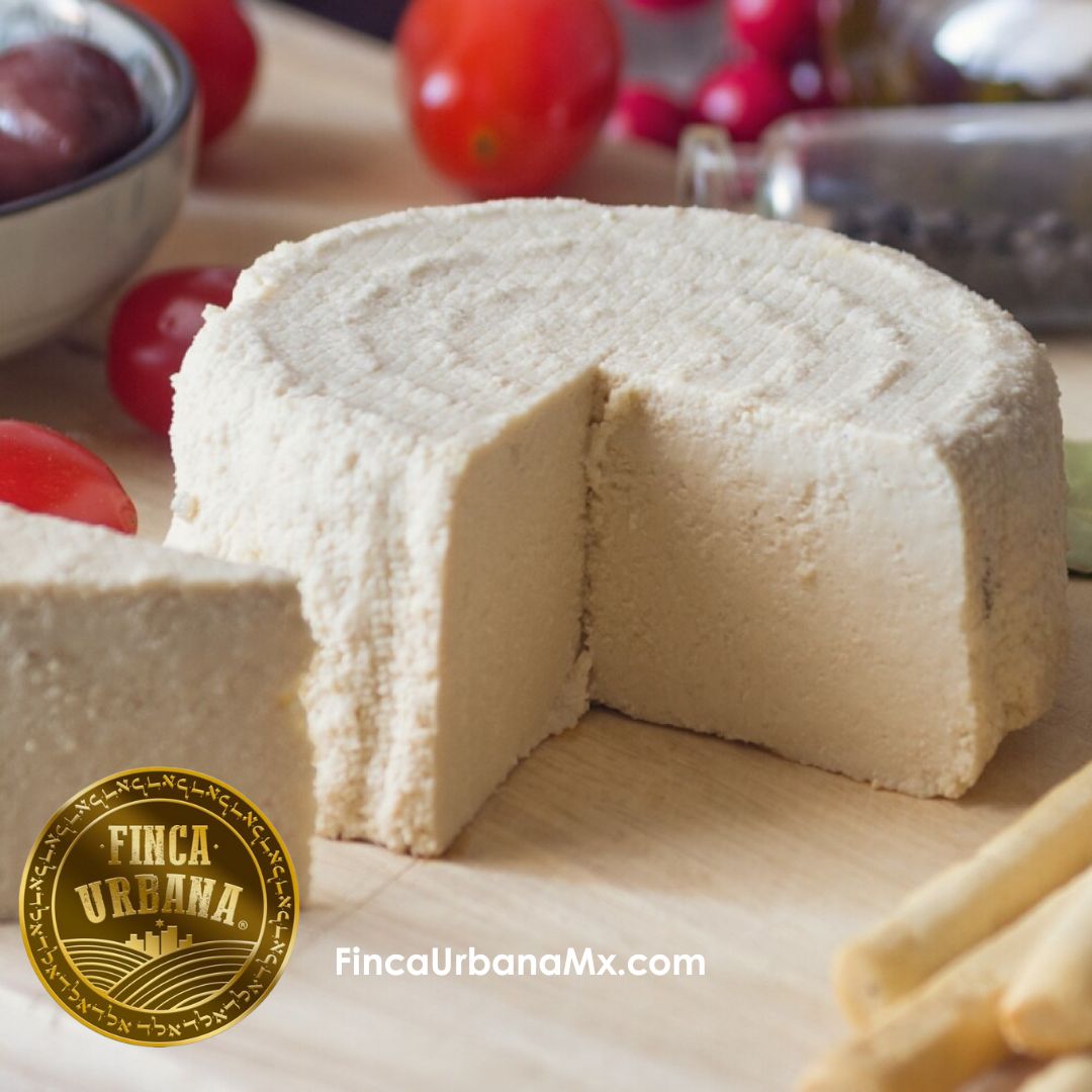 Queso panela de vaca añeja A2A2 orgánico indomitus (500g)