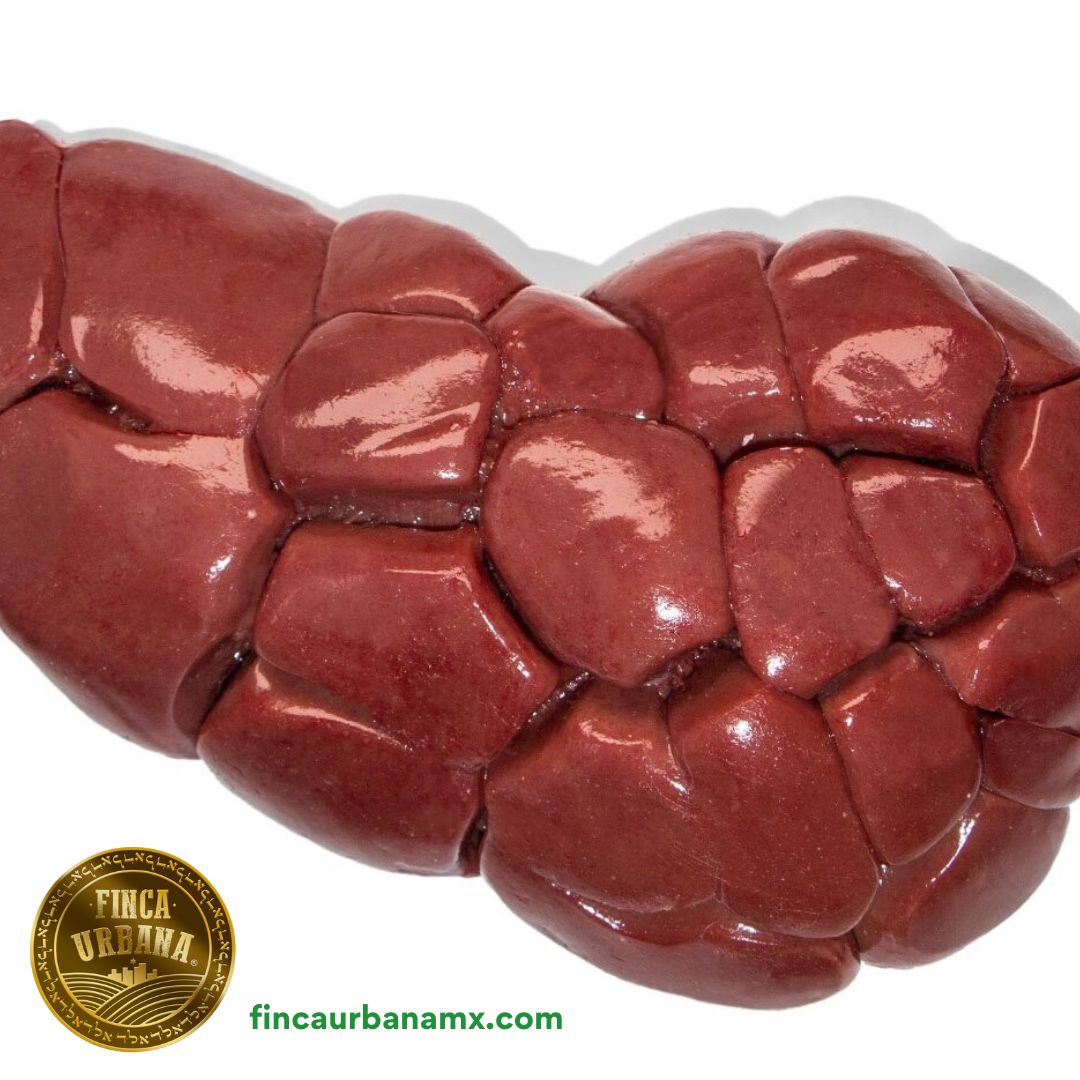 Riñón de ternera orgánica (500g)