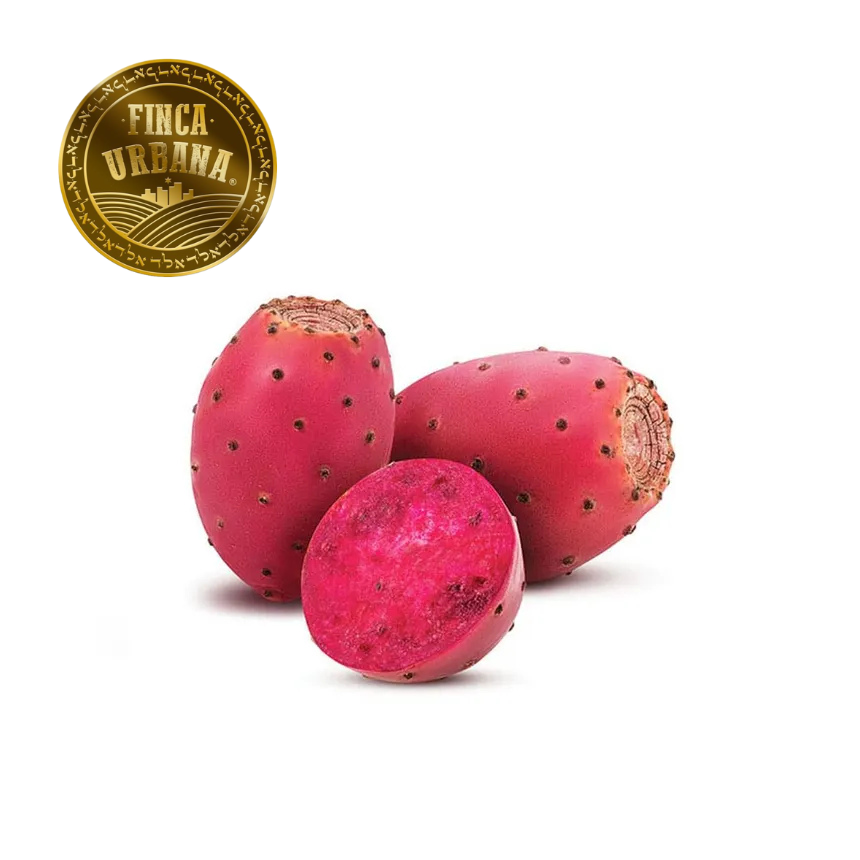 Tuna Roja Orgánica, 250g