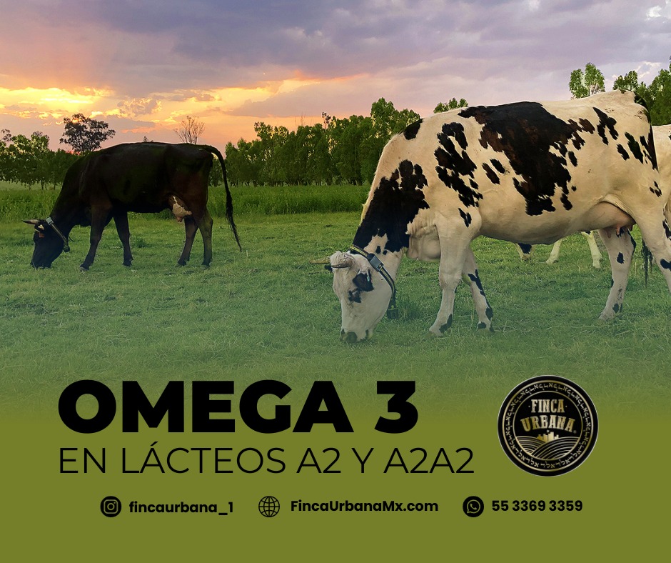 Omega 3: Lácteos A2 y A2A2