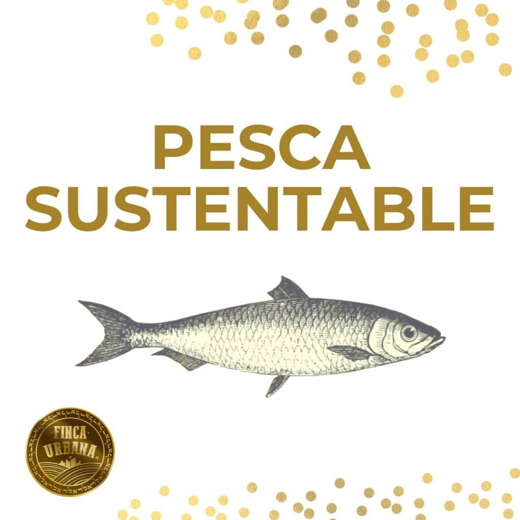 Pesca Sustentable